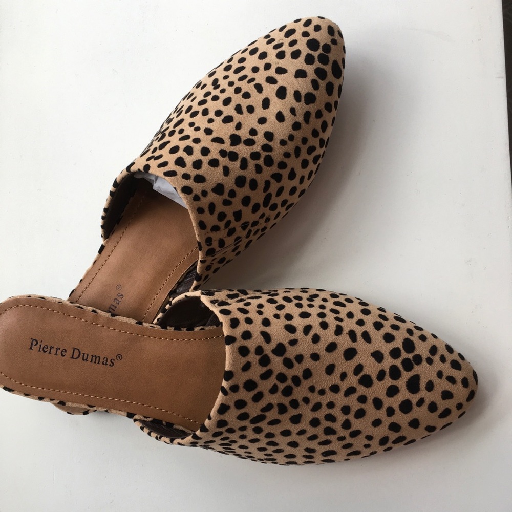 Cheetah Mule